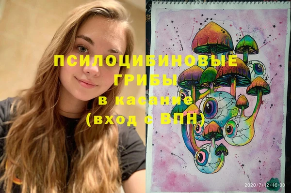 мдпв Абинск
