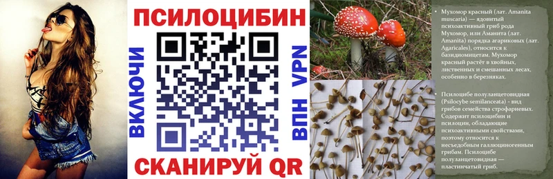 shop наркотические препараты Аксай Галлюциногенные грибы Cubensis